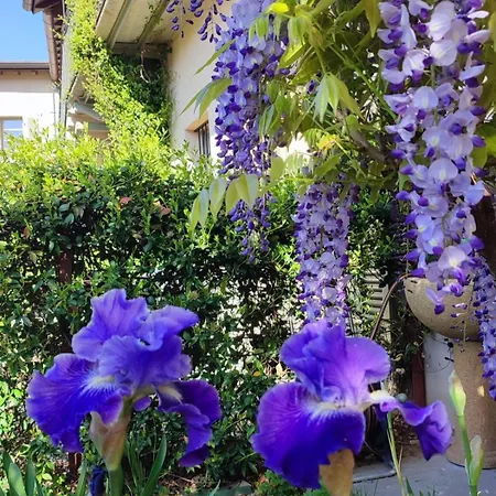 Privatunterkunft Cascina Storica Con Giardino - Vicino A Stazione